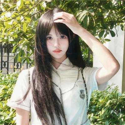 千年鹤