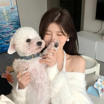 流行歌星:永不停歇