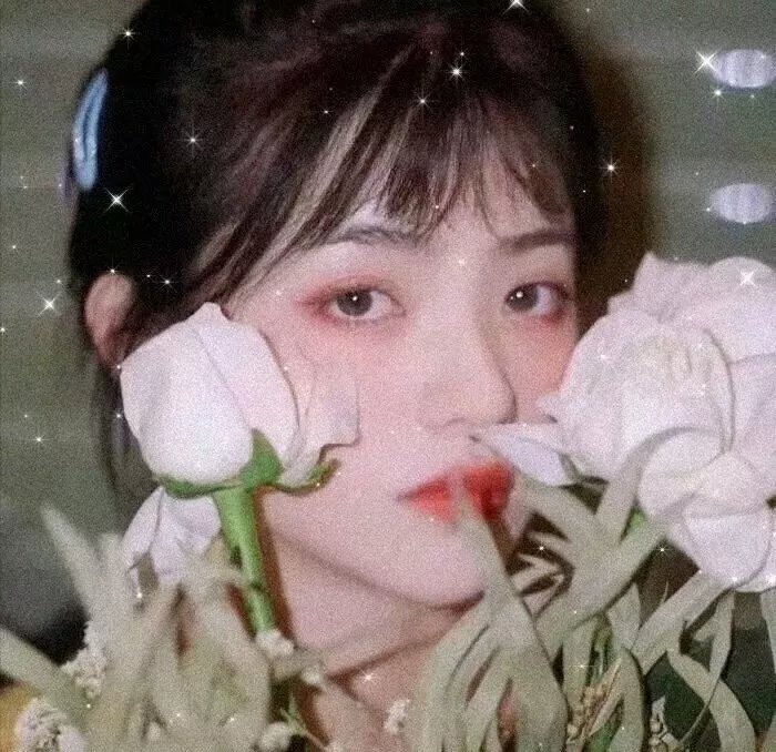 总统的蛋糕