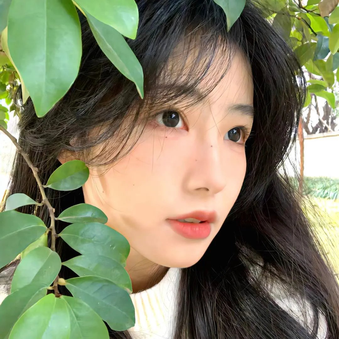 蕾雅与我